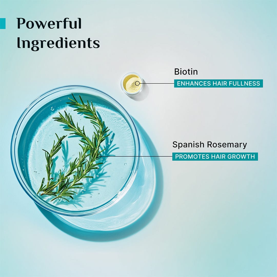 Spanish Rosemary & Biotin Anti-Hairfall Conditioner