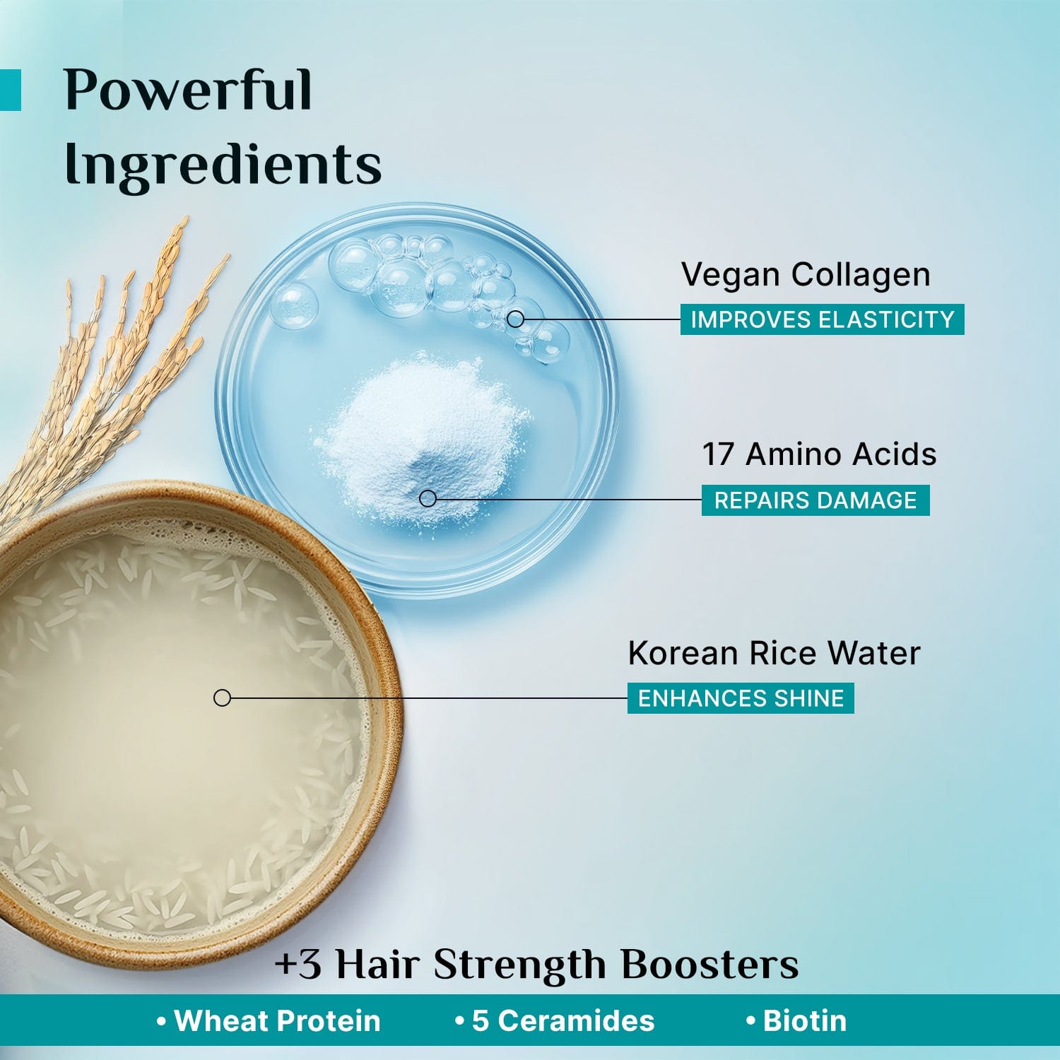 Korean Rice Water & Collagen Advanced Damage Repair Hair Mask